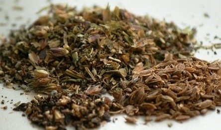 პროვანსული მწვანილი